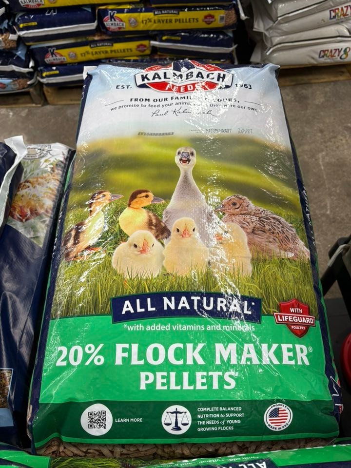 Poultry Feed Pallet – Bulk Chicken Feed Starter, Grower & Finisher - Image 6