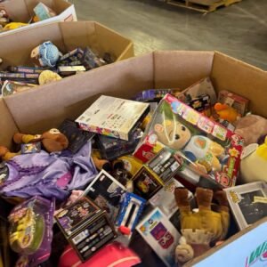 Premium Toys Liquidation 500 Pieces Per Pallet - Image 6