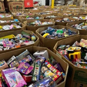 Premium Toys Liquidation 500 Pieces Per Pallet - Image 15