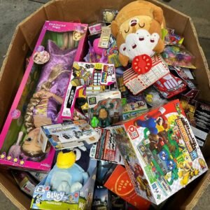 Premium Toys Liquidation 500 Pieces Per Pallet - Image 13