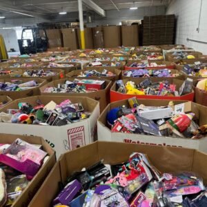 Premium Toys Liquidation 500 Pieces Per Pallet - Image 5