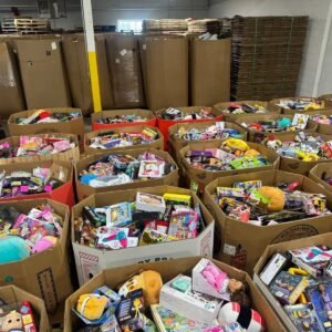 Premium Toys Liquidation 500 Pieces Per Pallet - Image 16