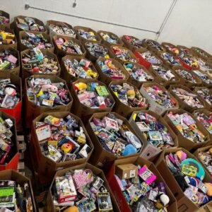 Premium Toys Liquidation 500 Pieces Per Pallet - Image 18