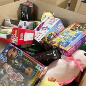 Premium Toys Liquidation 500 Pieces Per Pallet - Image 25